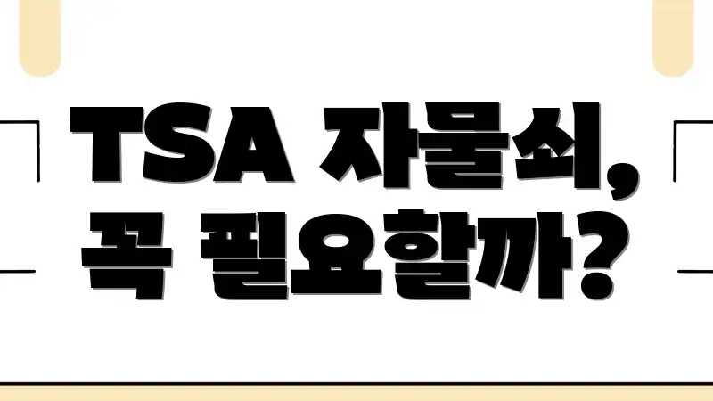 TSA 자물쇠, 꼭 필요할까?