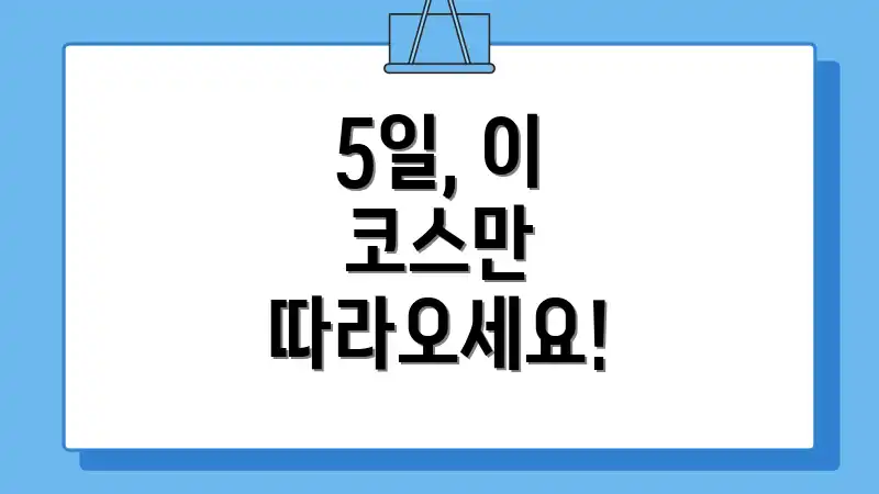 5일, 이 코스만 따라오세요!