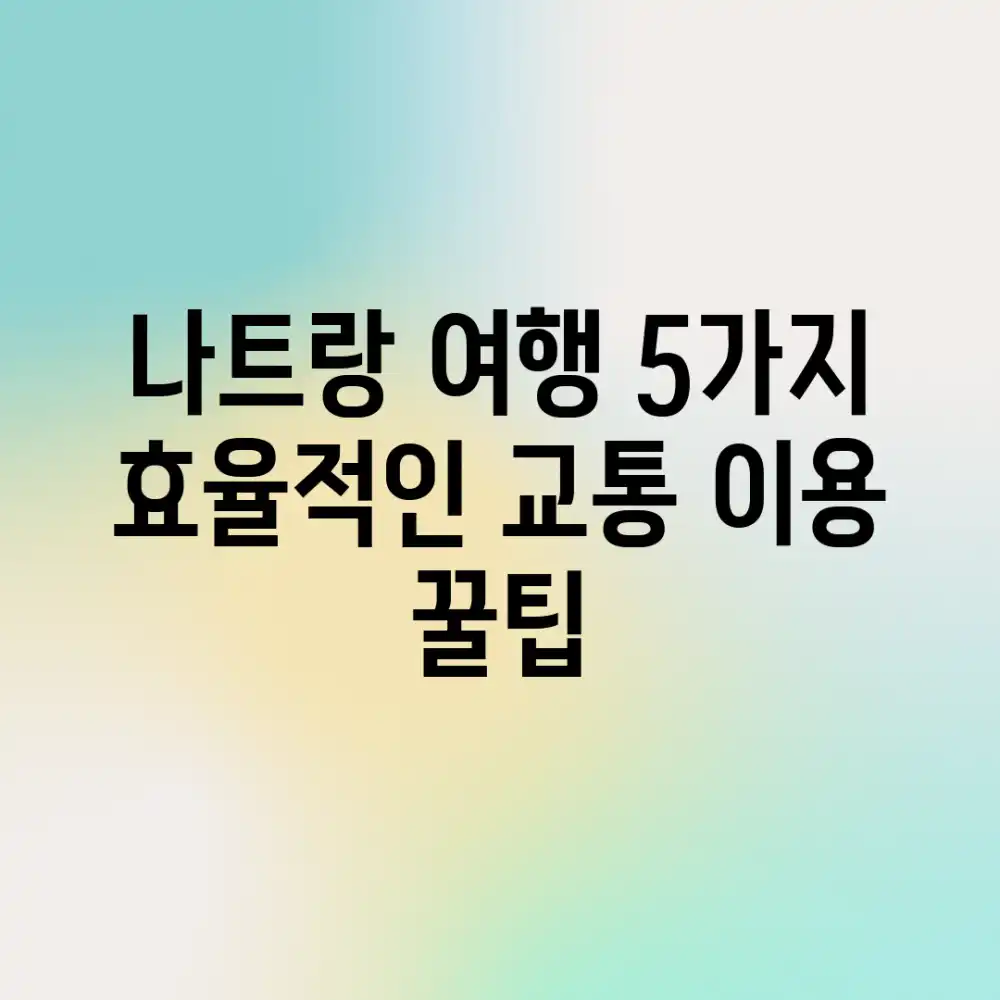 나트랑 여행, 5가지 효율적인 교통 이용 꿀팁