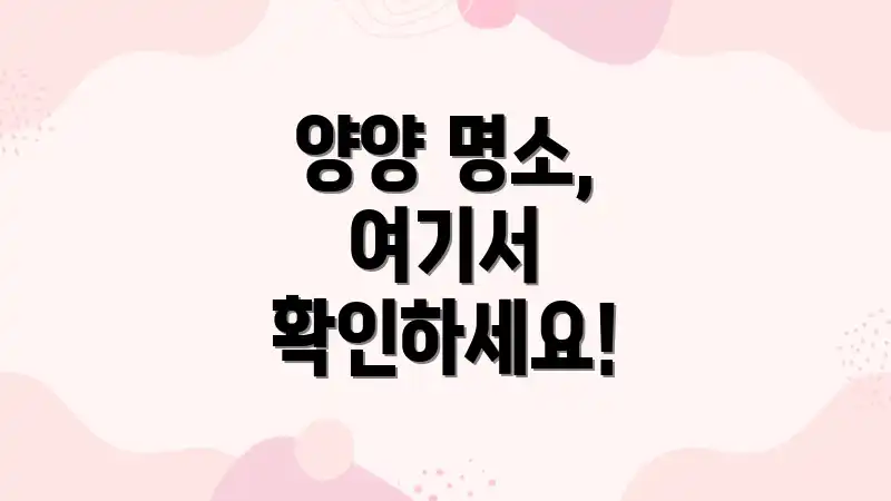 양양 명소, 여기서 확인하세요!