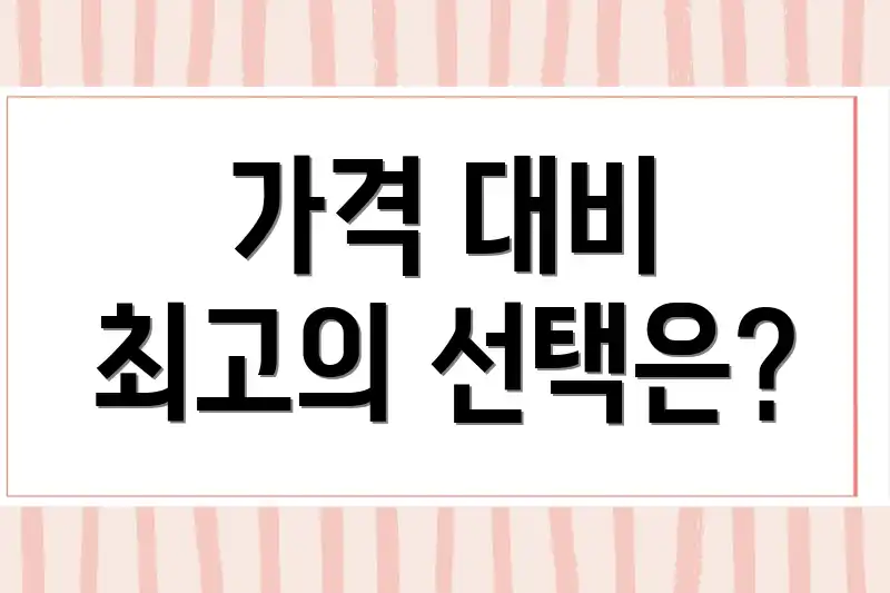 가격 대비 최고의 선택은?