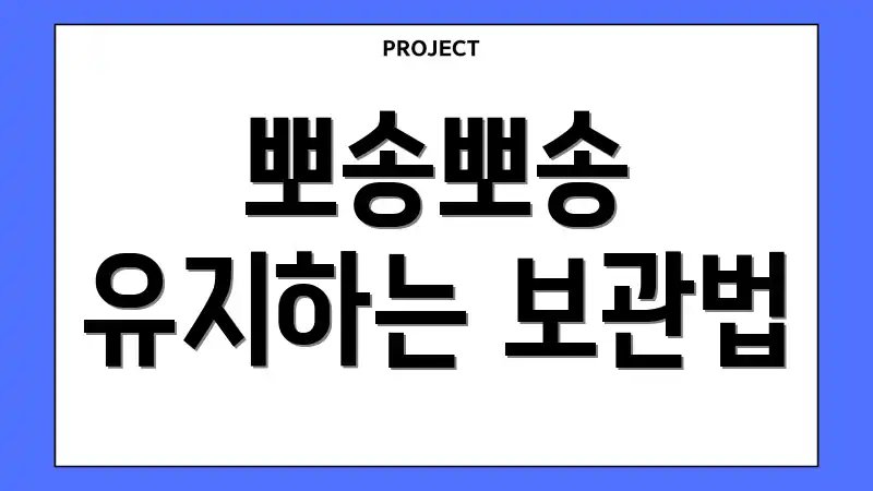 뽀송뽀송 유지하는 보관법