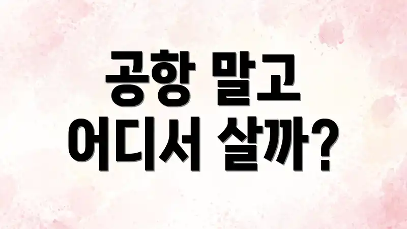 공항 말고 어디서 살까?