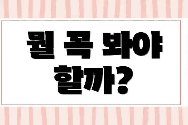 뭘 꼭 봐야 할까?