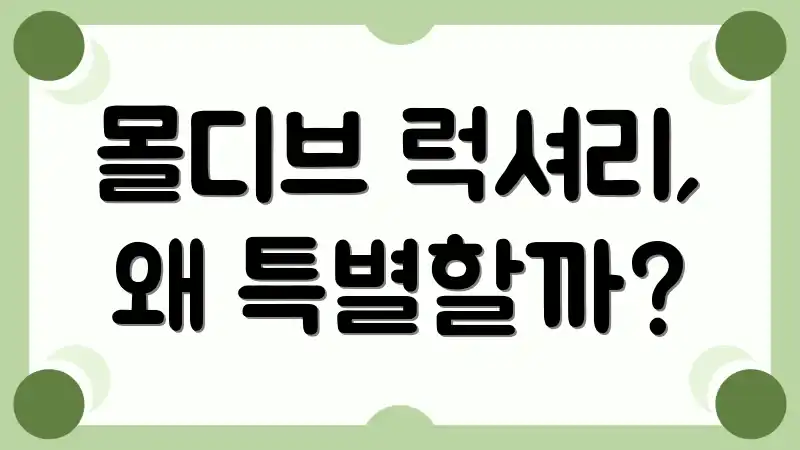 몰디브 럭셔리, 왜 특별할까?