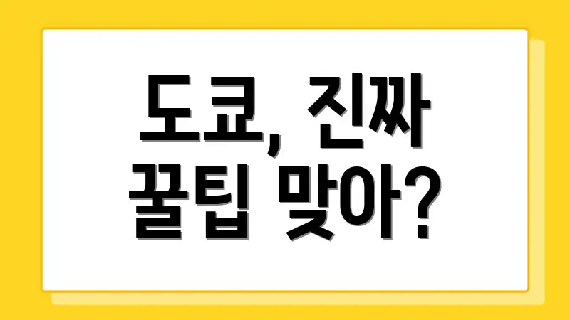 도쿄, 진짜 꿀팁 맞아?