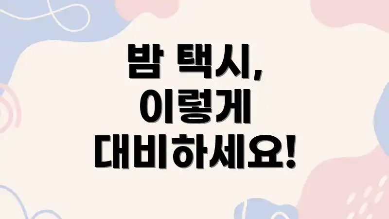 밤 택시, 이렇게 대비하세요!