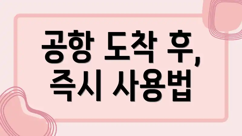 공항 도착 후, 즉시 사용법