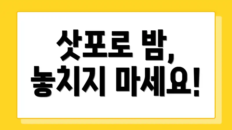 삿포로 밤, 놓치지 마세요!