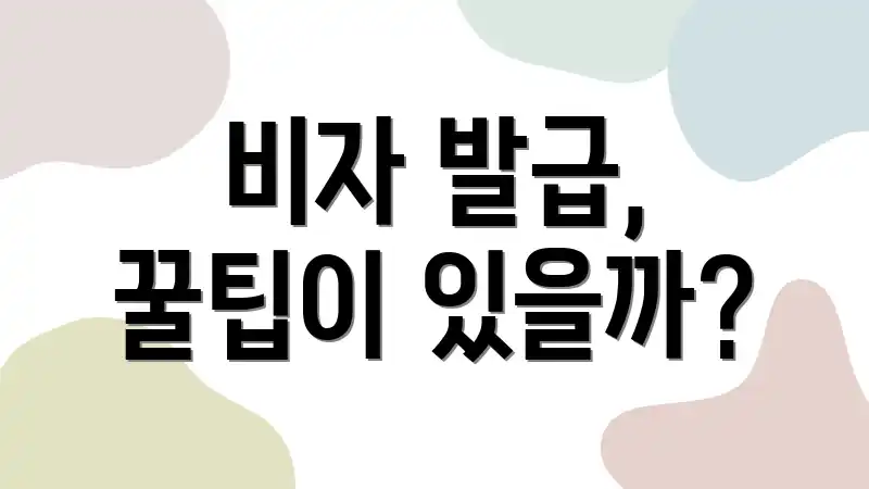 비자 발급, 꿀팁이 있을까?