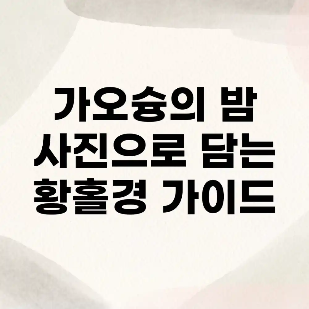 가오슝의 밤, 사진으로 담는 황홀경 가이드