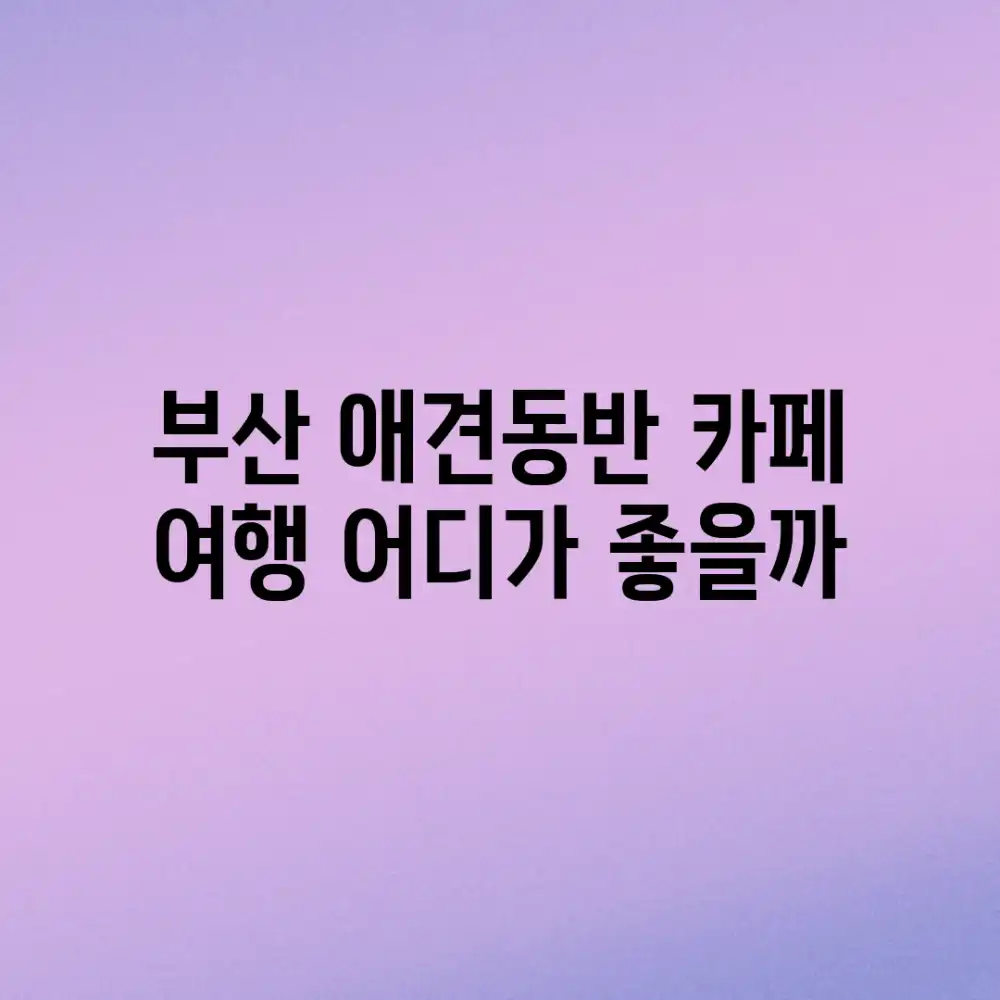 부산 애견동반 카페 여행, 어디가 좋을까? 부산 애견동반 카페 여행, 어디가 좋을까?
