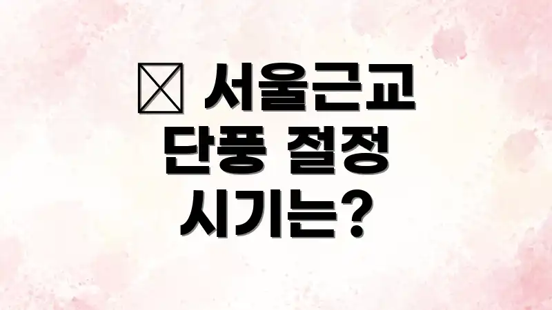 🍁 서울근교 단풍 절정 시기는?