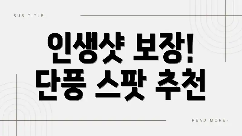 인생샷 보장! 단풍 스팟 추천