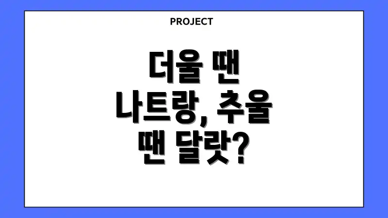 더울 땐 나트랑, 추울 땐 달랏?