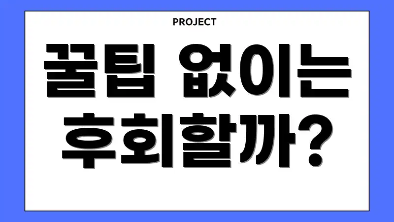 꿀팁 없이는 후회할까?