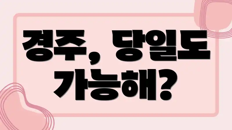 경주, 당일도 가능해?