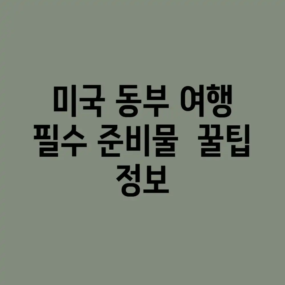 미국 동부 여행, 필수 준비물 & 꿀팁 정보!