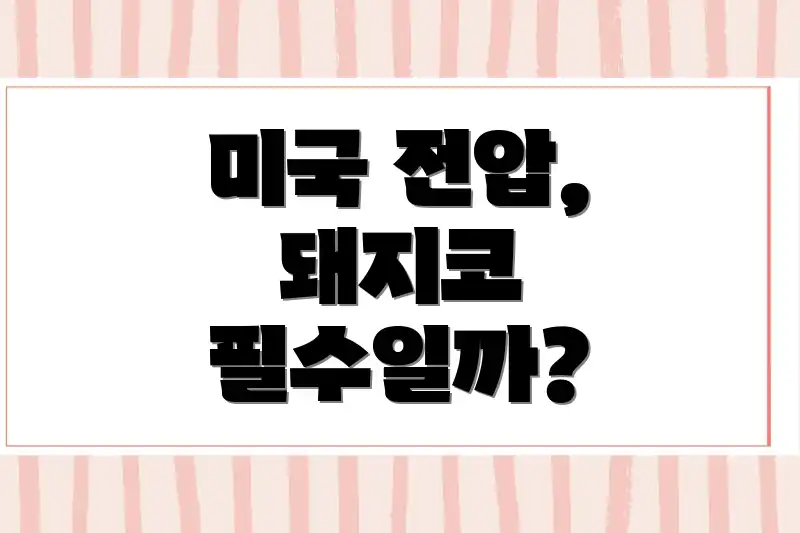 미국 전압, 돼지코 필수일까?