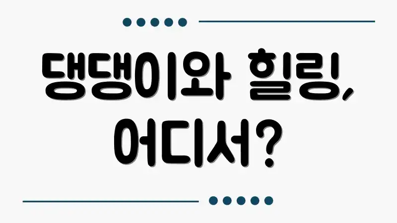 댕댕이와 힐링, 어디서?