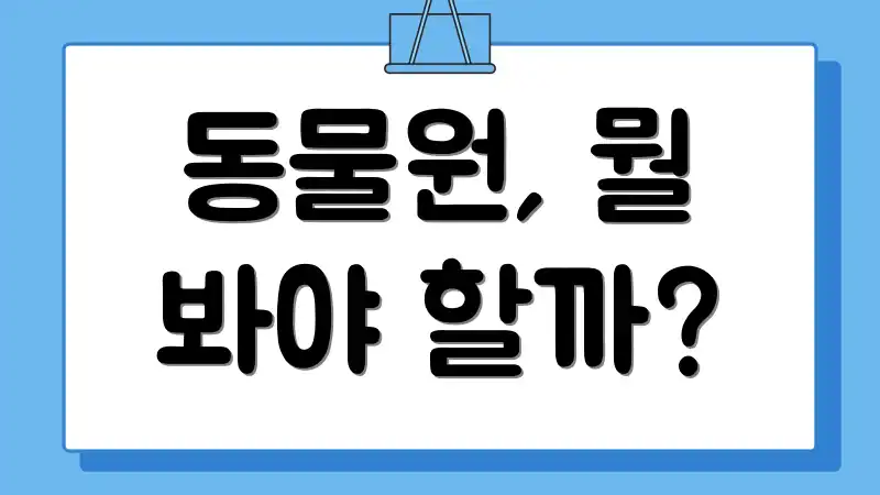 동물원, 뭘 봐야 할까?