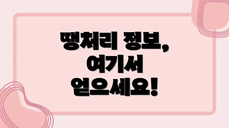 땡처리 정보, 여기서 얻으세요!