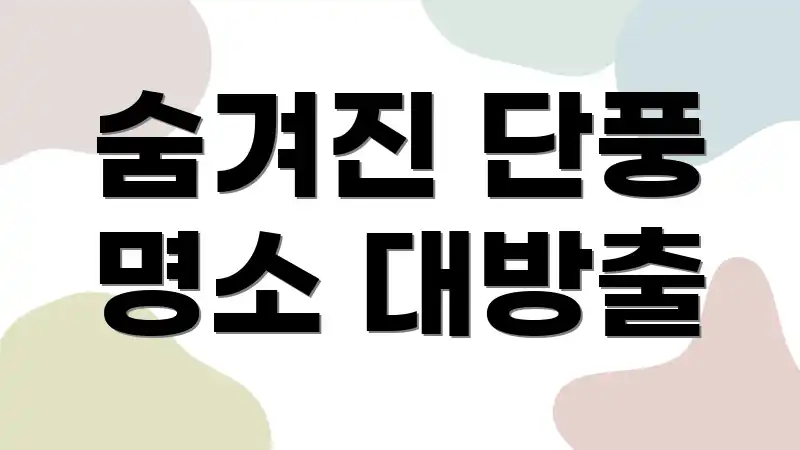 숨겨진 단풍 명소 대방출