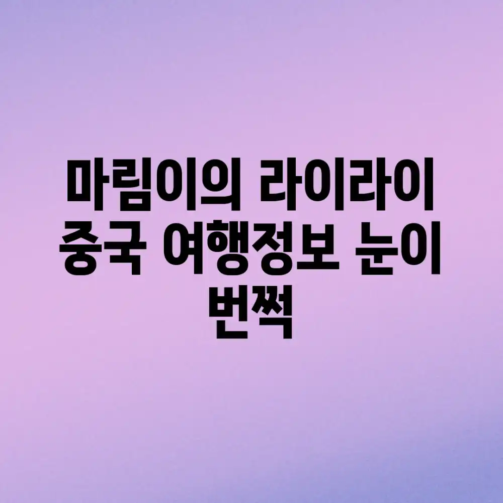 마림이의 라이라이 중국 여행정보, 눈이 번쩍!