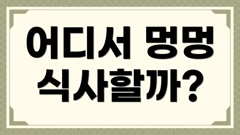 어디서 멍멍 식사할까?