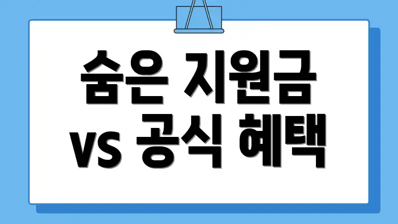 숨은 지원금 vs 공식 혜택