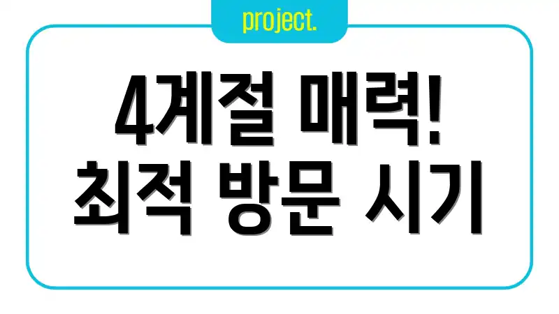 4계절 매력! 최적 방문 시기