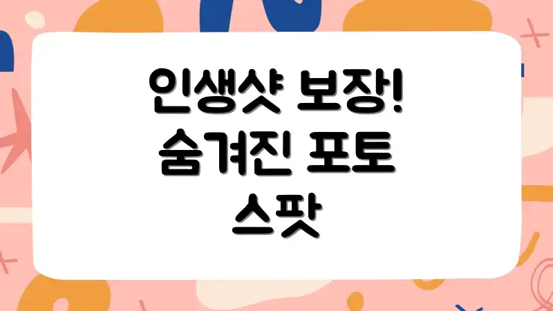 인생샷 보장! 숨겨진 포토 스팟