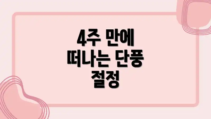 4주 만에 떠나는 단풍 절정