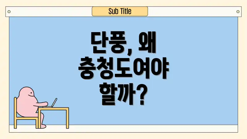 단풍, 왜 충청도여야 할까?