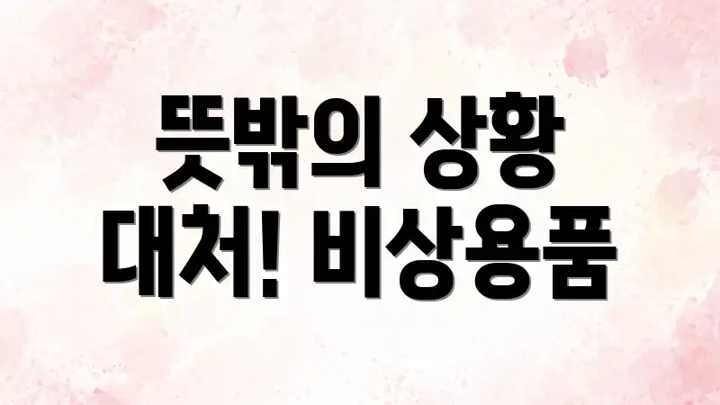 뜻밖의 상황 대처! 비상용품