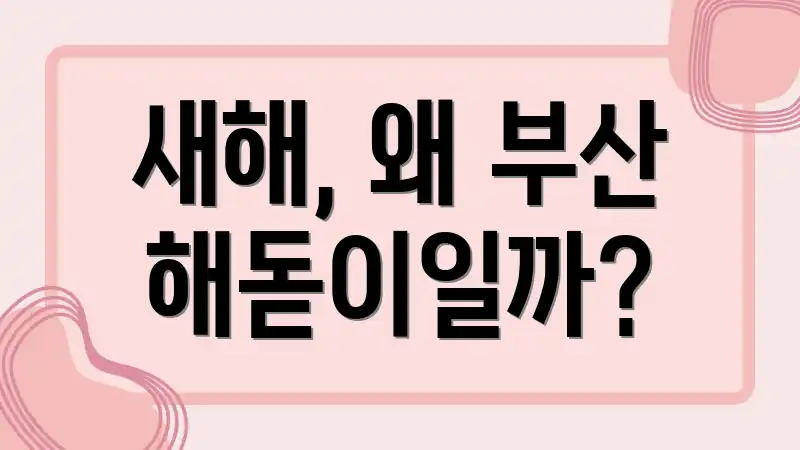 새해, 왜 부산 해돋이일까?