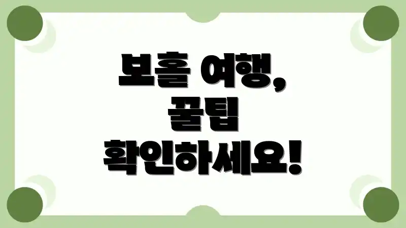 보홀 여행, 꿀팁 확인하세요!