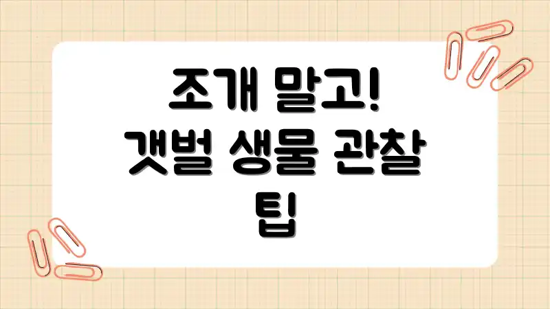 조개 말고! 갯벌 생물 관찰 팁