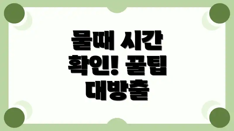 물때 시간 확인! 꿀팁 대방출