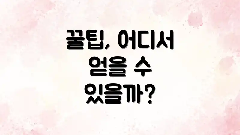꿀팁, 어디서 얻을 수 있을까?