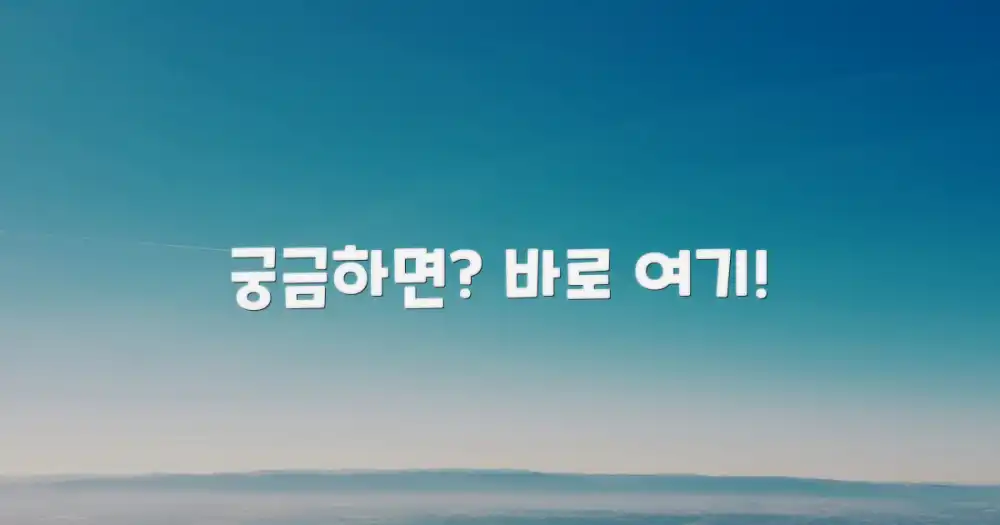 자주 묻는 질문