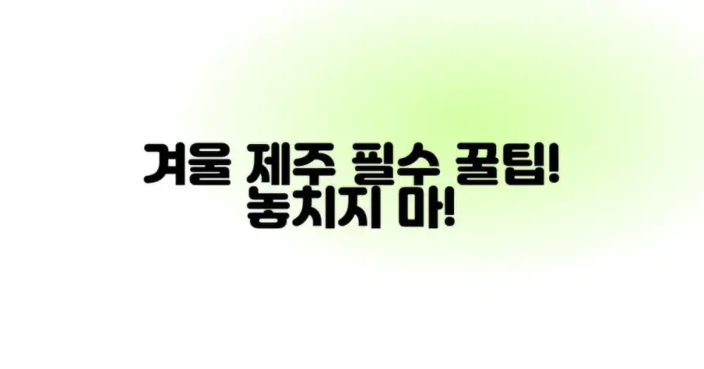 겨울 제주 꿀팁 놓치마!