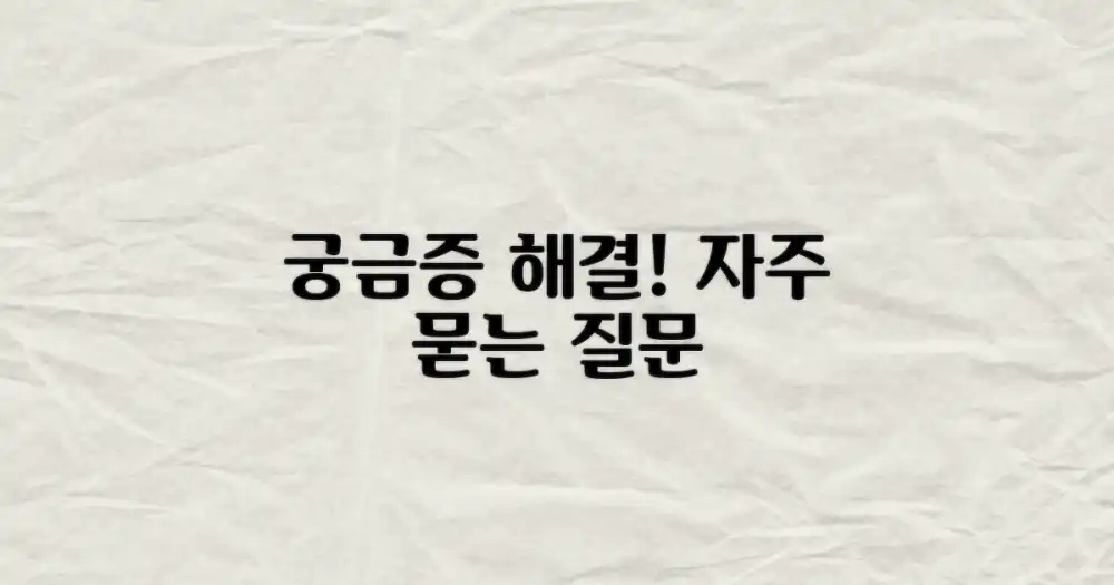 자주 묻는 질문