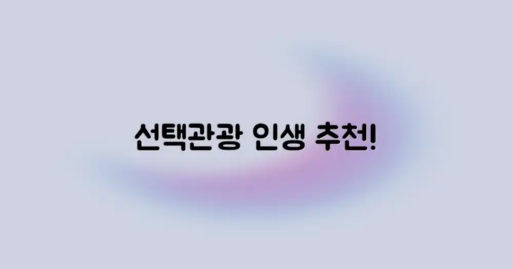 최고의 선택관광은 뭘까?