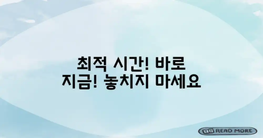 최적의 관람 시간