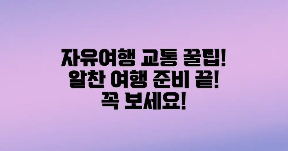 알찬 자유여행을 위한 필수 교통 팁