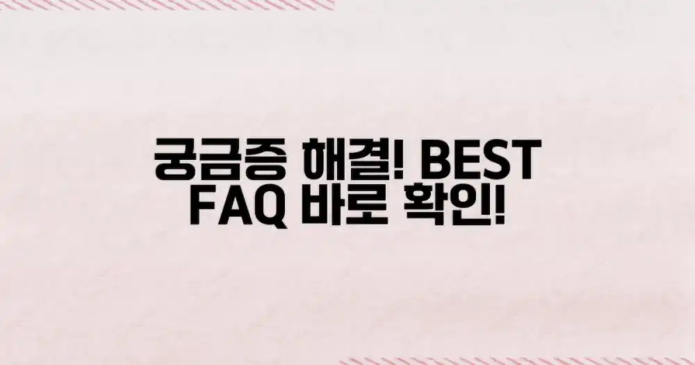 자주 묻는 질문