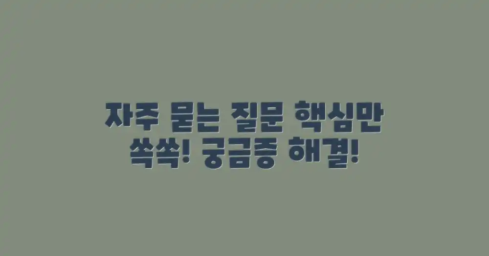 자주 묻는 질문