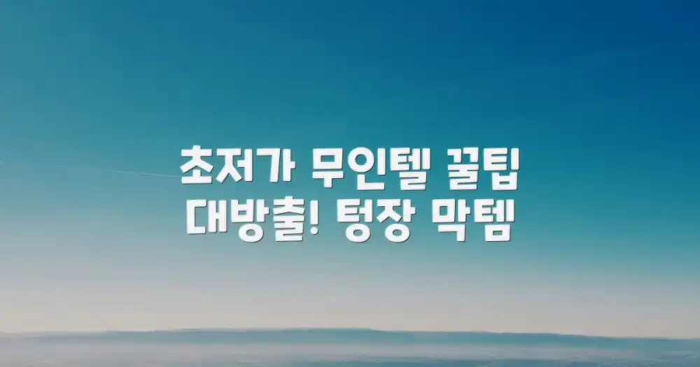 합리적인 가격: 무인텔 이용 꿀팁