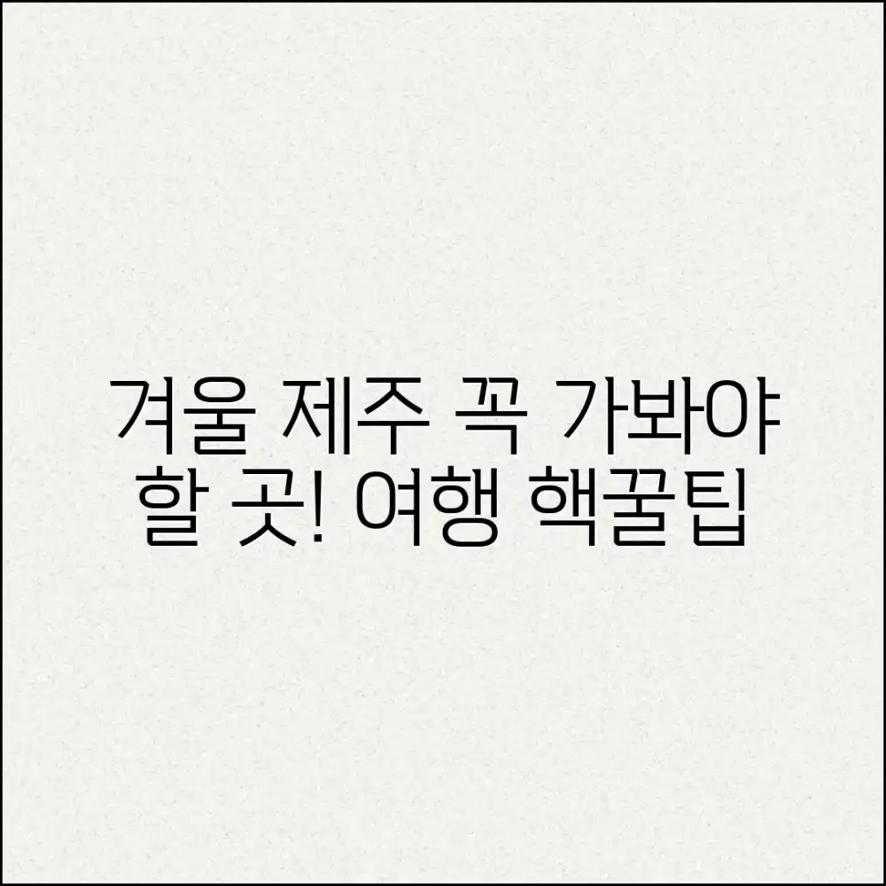 놀라운 제주 겨울 여행지 추천! 여행정보